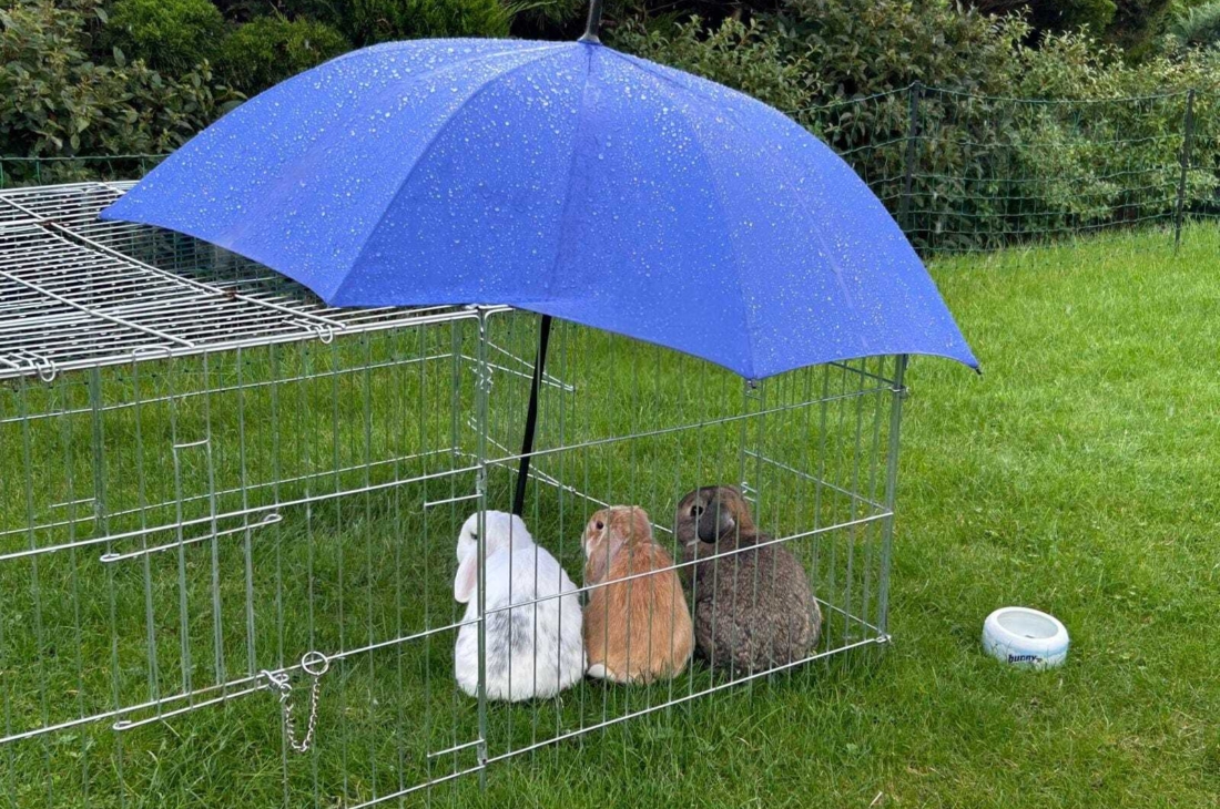 «Who is the human being next to you?»