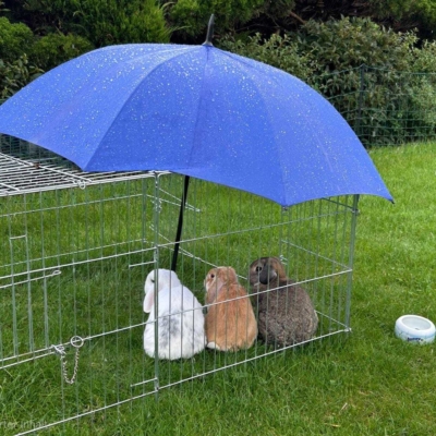 Meier Bieri Linked In Bilder Whoisthehumanbeing Ostern 2026