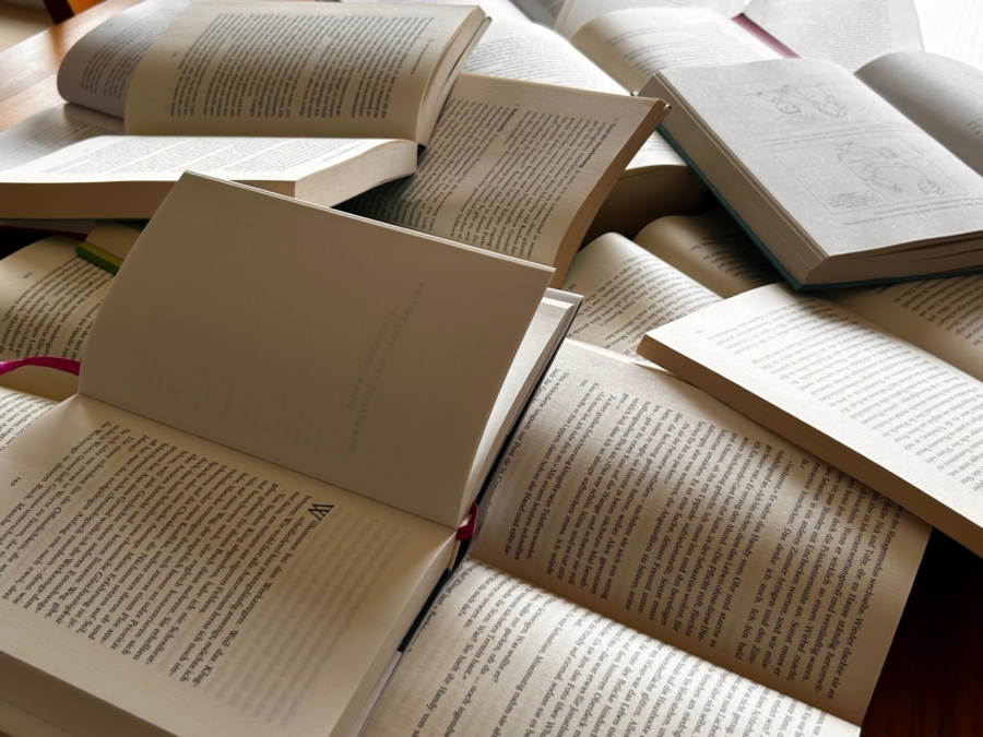 Meier Bieri Bücher KI Handwerk Kunst